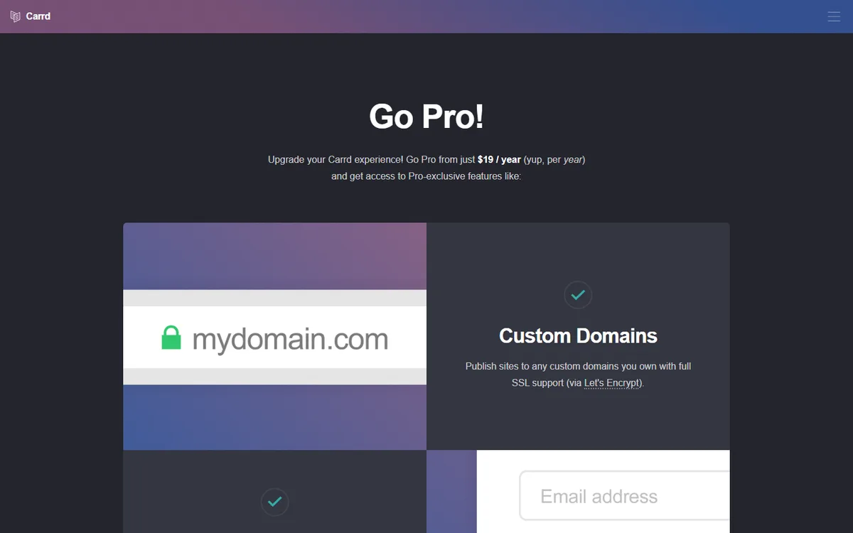 The Carrd Go Pro page announcing Pro plans from 19 dollars per year, with the Custom Domains feature shown first