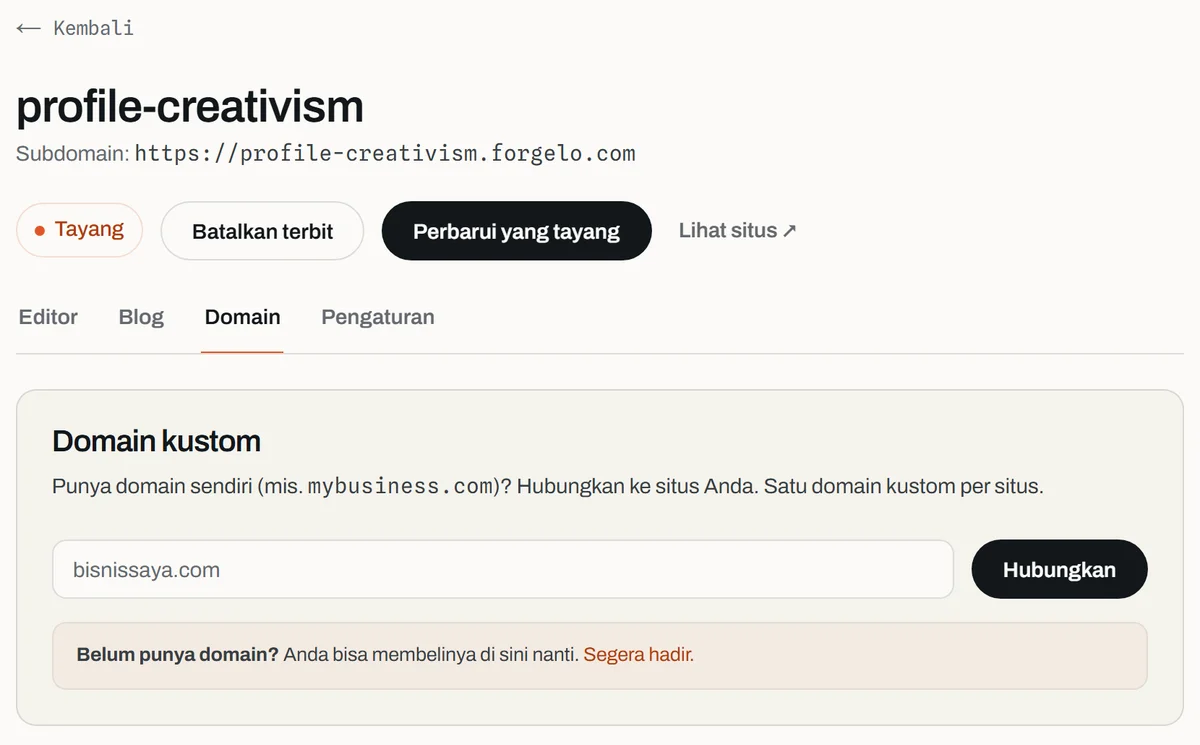 Halaman proyek Forgelo dengan tab Domain terpilih, menampilkan panel Domain kustom berisi kolom domain dan tombol Hubungkan
