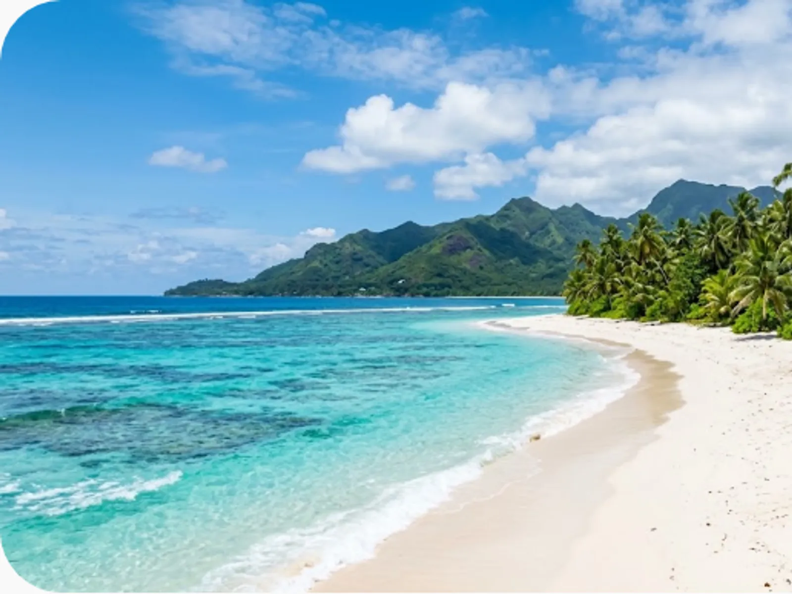 pristine tropical beach with turquoise water and palm trees